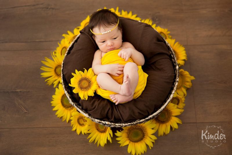 Newborn cu floarea soarelui